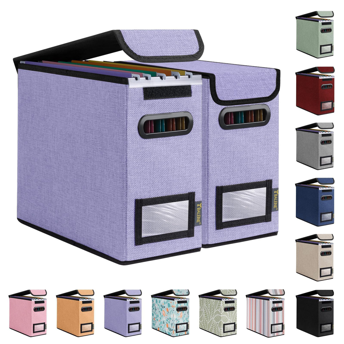 BALEINE File Organizer Box with Lid, Collapsible Hanging File Storage Box