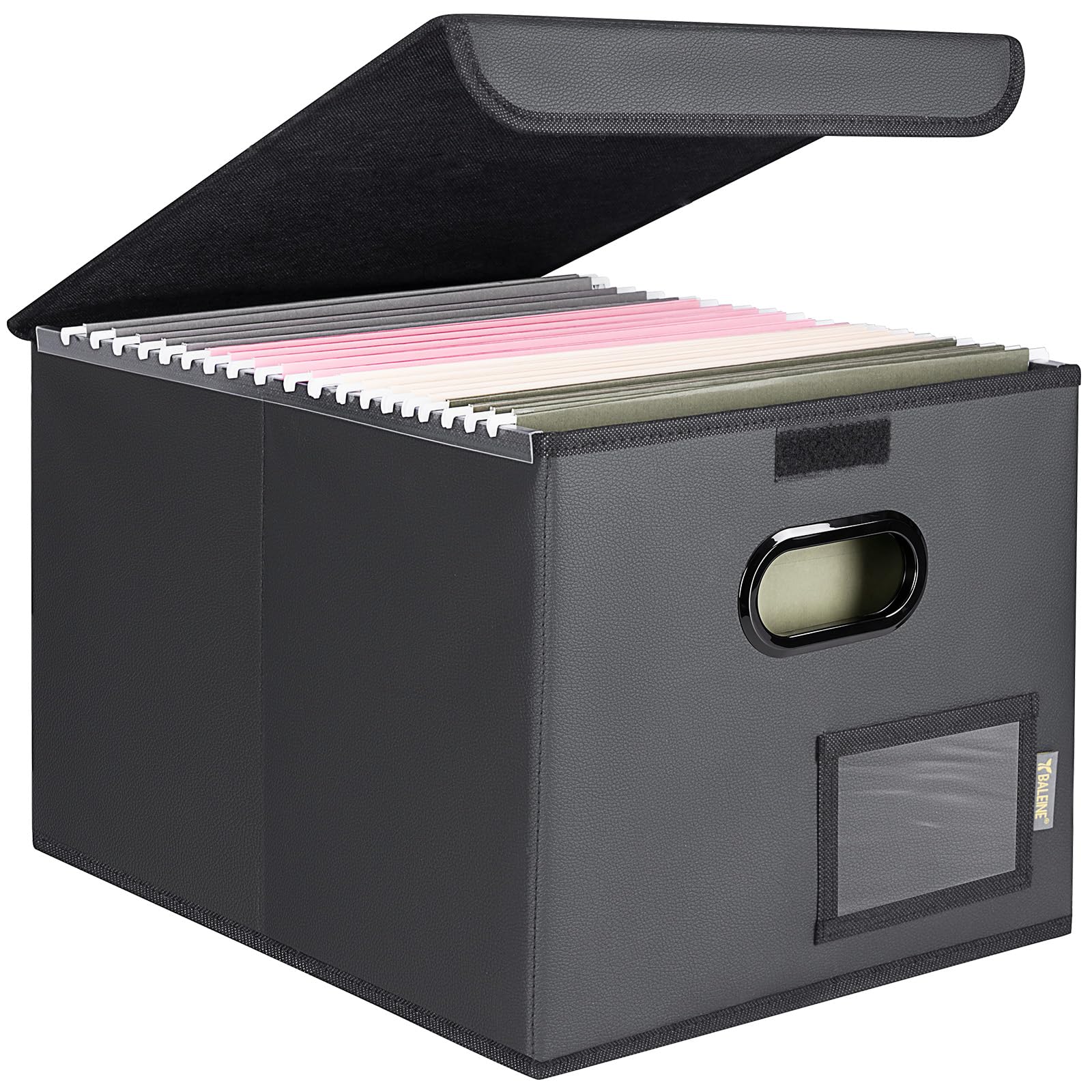BALEINE File Organizer Box with Lid, Collapsible Hanging File Storage Box