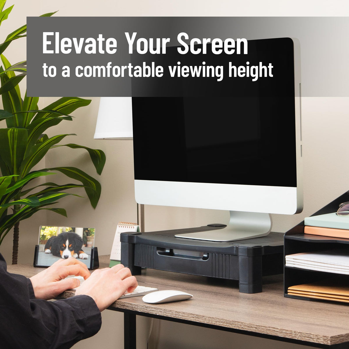 Mind Reader Monitor Stand, Storage Drawer, Desktop Organizer, Laptop Riser, Office, 17.25"L x