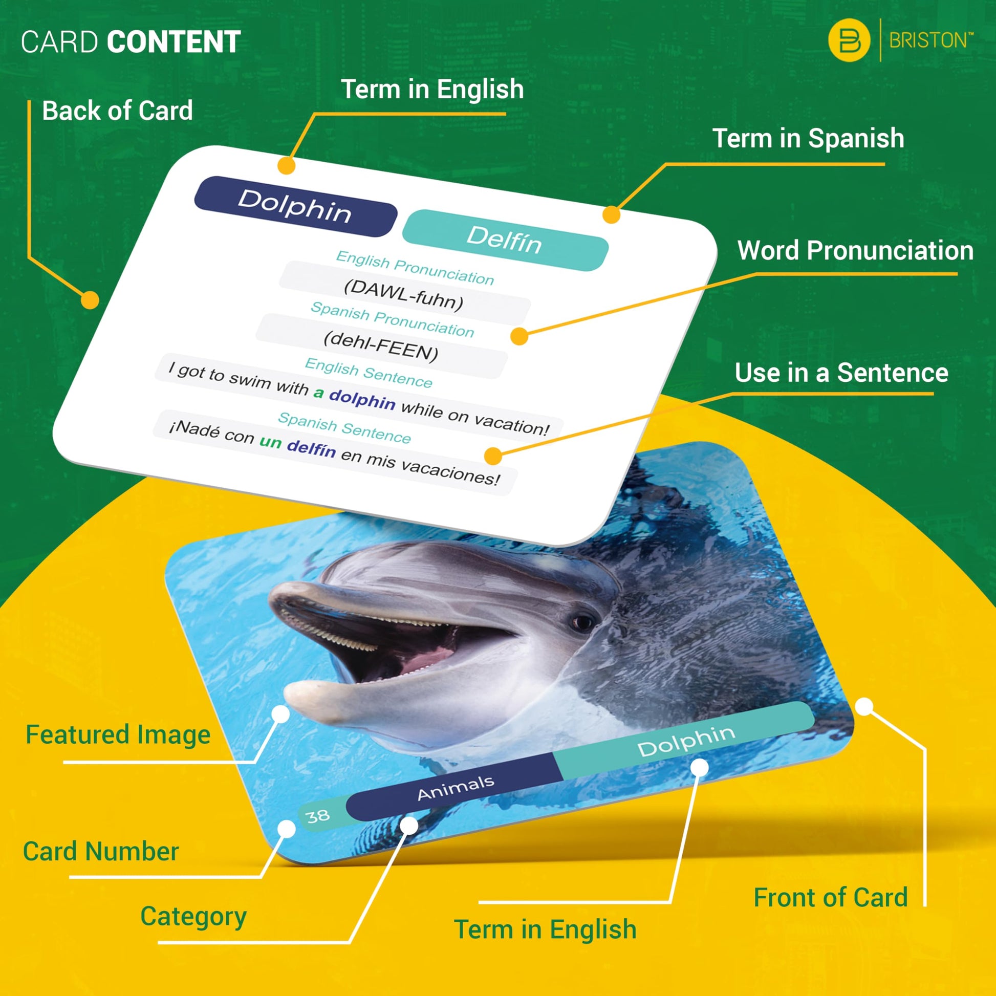 Spanish Vocabulary Flash Cards – 600 Words, Sentences & Pronunciation