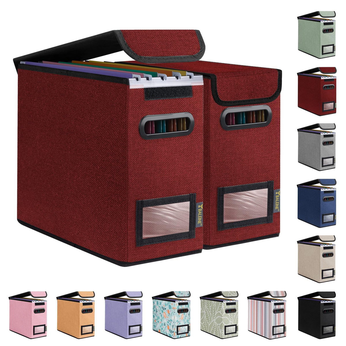 BALEINE File Organizer Box with Lid, Collapsible Hanging File Storage Box