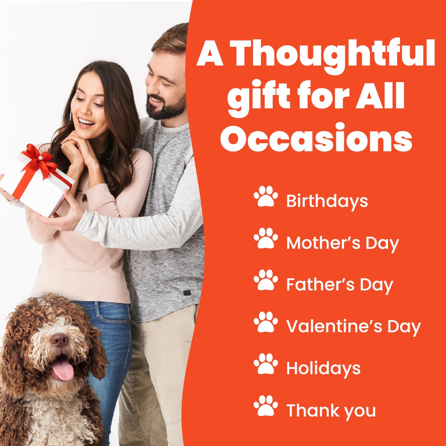 Funny Dog Lover Gift Pen Set, 5 Black Ink Ballpoint Pens, Stylus Tip, 2Pack