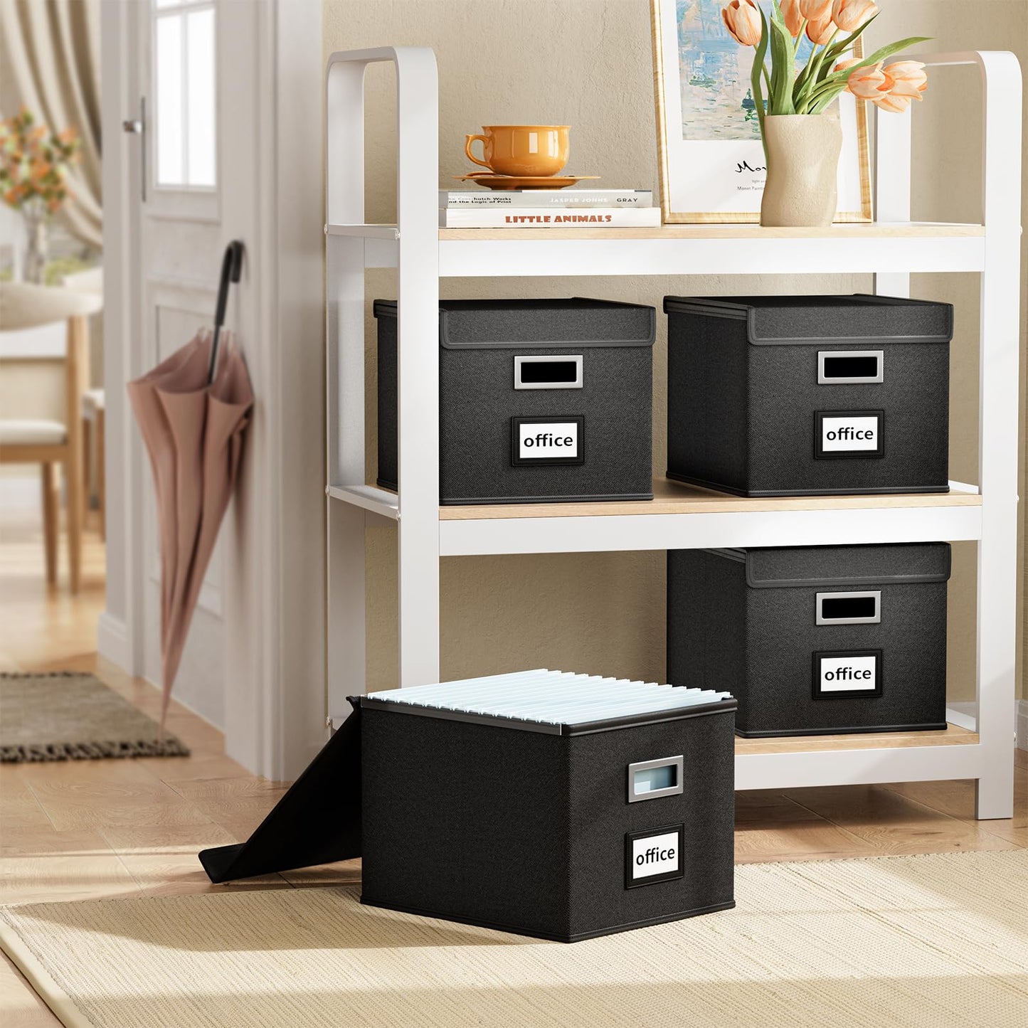 Huolewa File Organizer Box with Lids, Collapsible File Folder Organizer