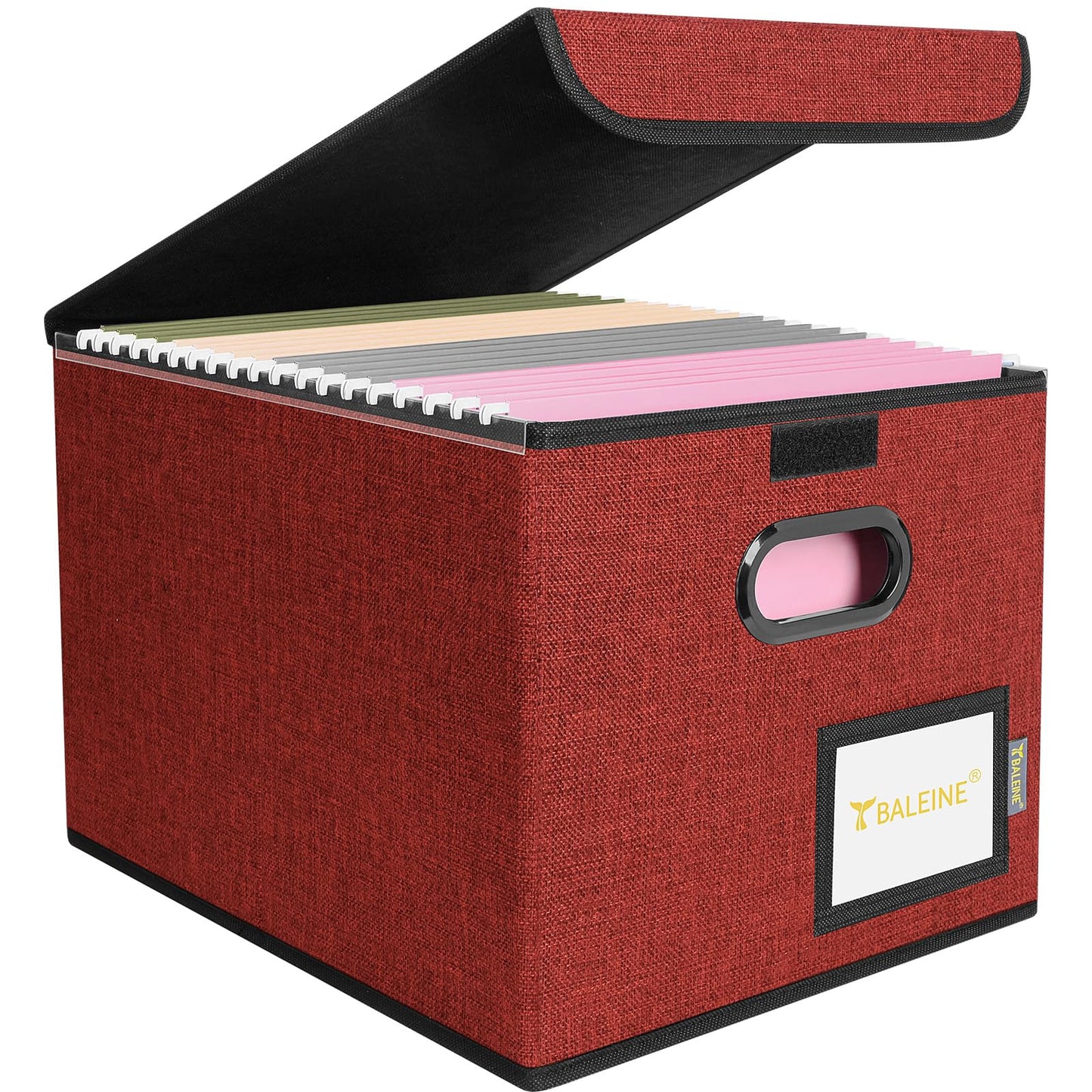 BALEINE File Organizer Box with Lid, Collapsible Hanging File Storage Box