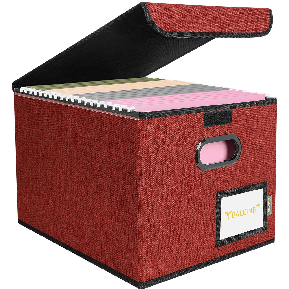 BALEINE File Organizer Box with Lid, Collapsible Hanging File Storage Box