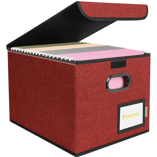 BALEINE File Organizer Box with Lid, Collapsible Hanging File Storage Box