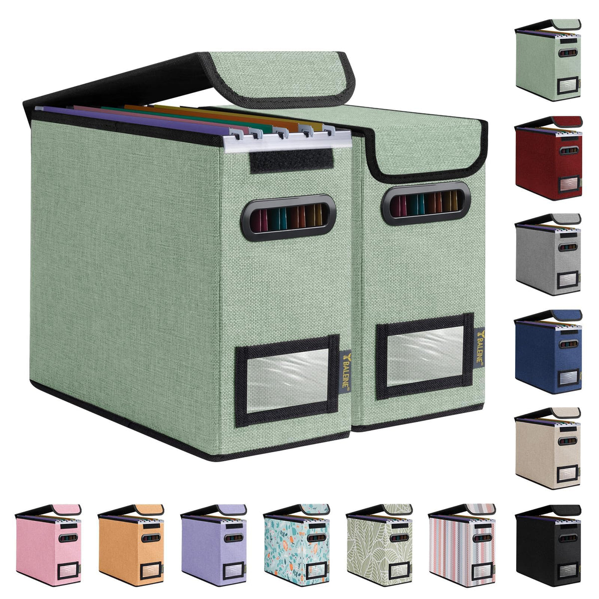 BALEINE File Organizer Box with Lid, Collapsible Hanging File Storage Box