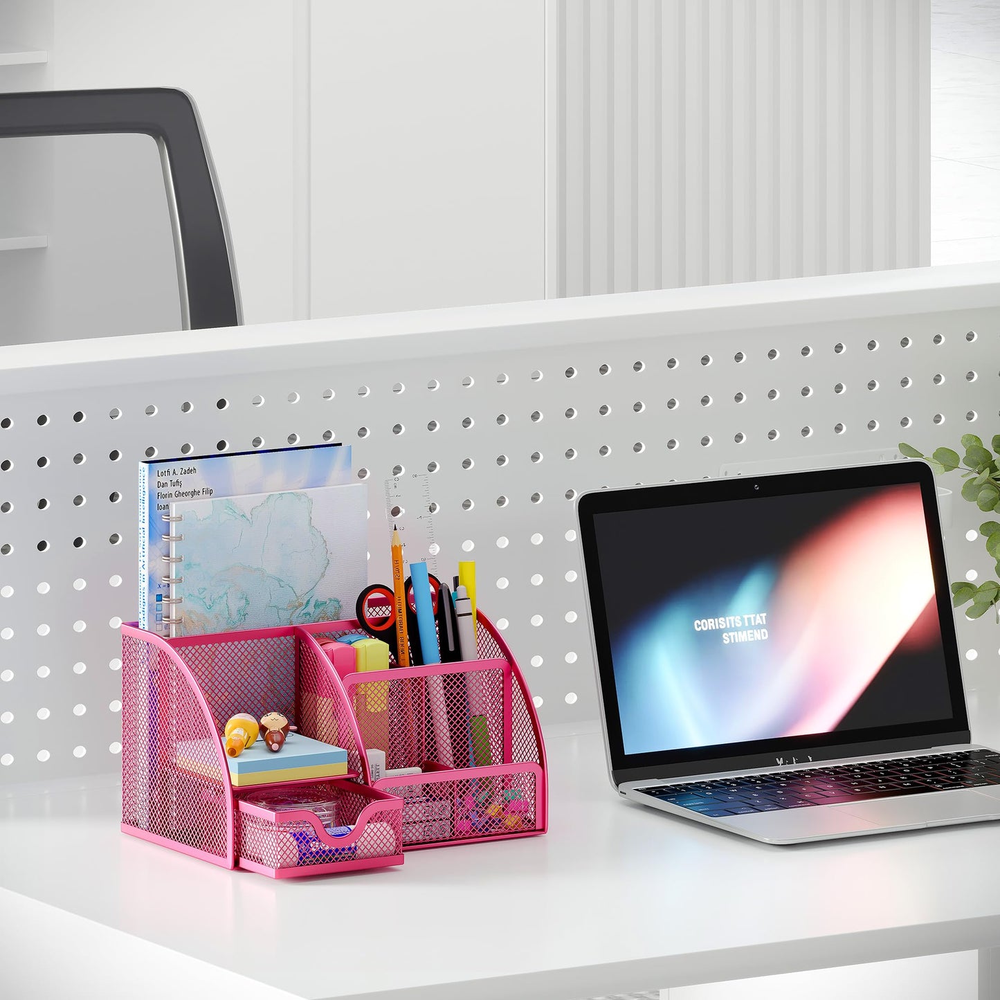 EasyPAG Mesh Desk Organizer with Drawer Multi-functional Pen Holder Stationery Organizer for Office
