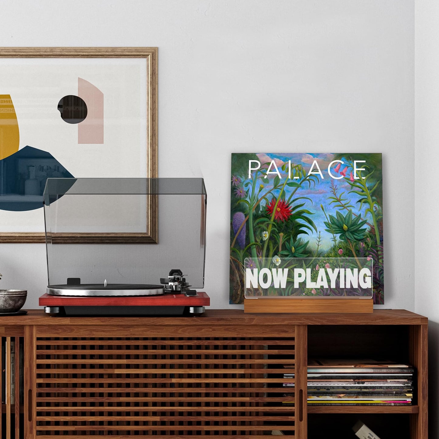 Ammonite Light up Vinyl Record Stand, Wooden Acrylic Holder for Album Display and Storage, Warm