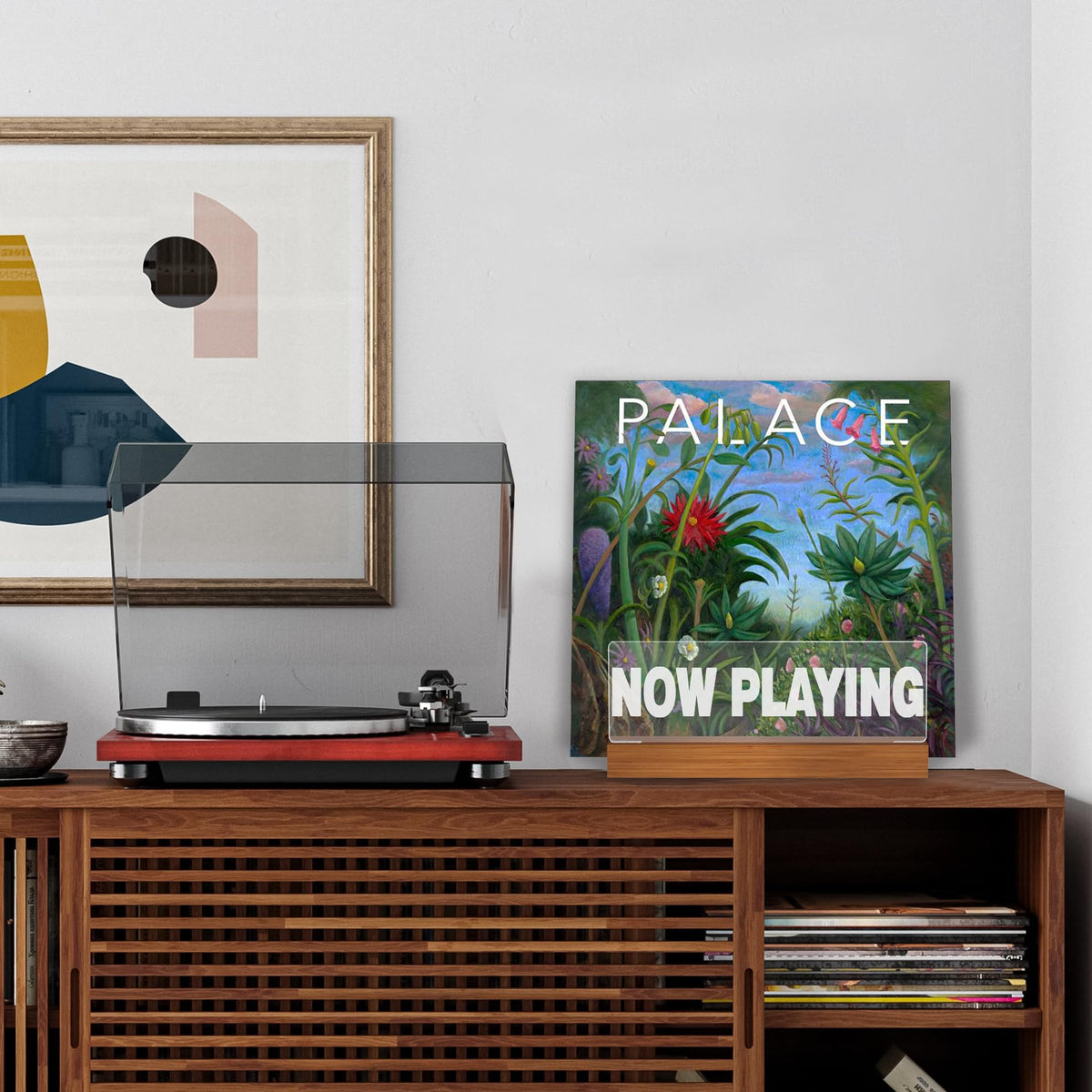Ammonite Light up Vinyl Record Stand, Wooden Acrylic Holder for Album Display and Storage, Warm