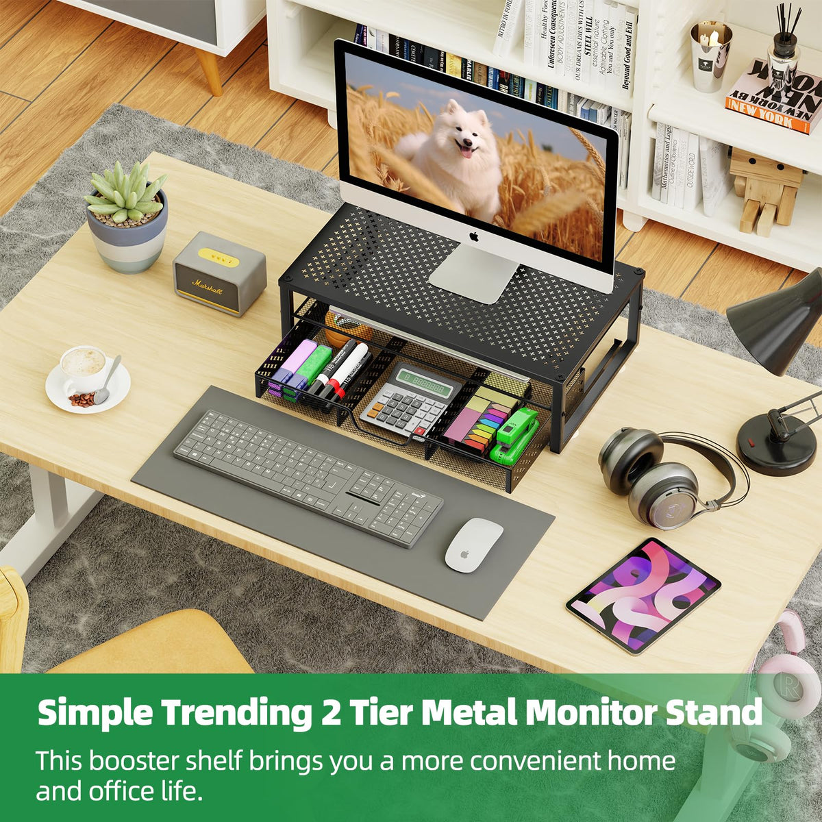 Simple Trending Metal Monitor Stand Riser and Computer Desk Organizer with Drawer for Laptop