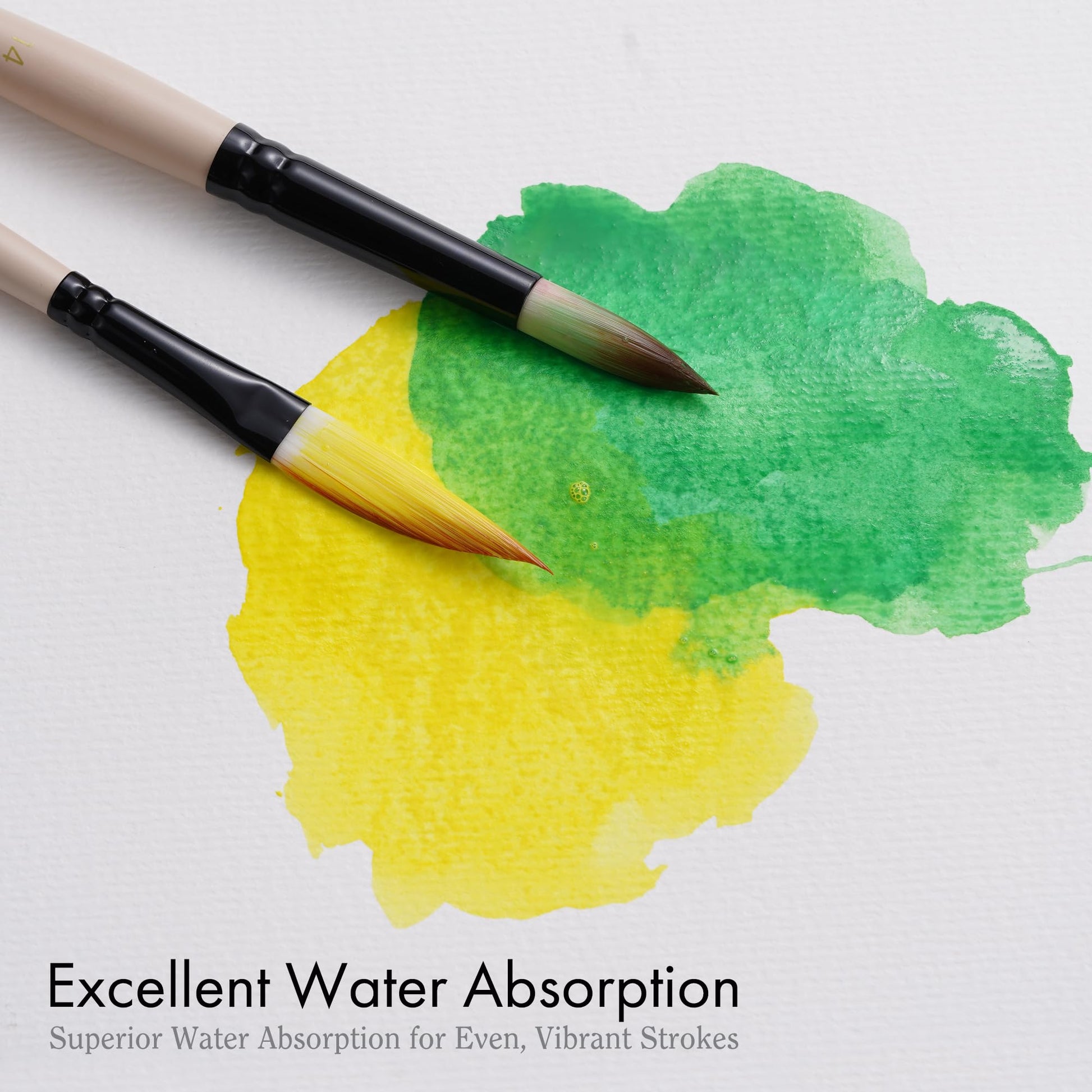 ARTIFY Watercolor Brush Set, 12 Pcs Professional Paint Brushes with Case for Beginners and Artists