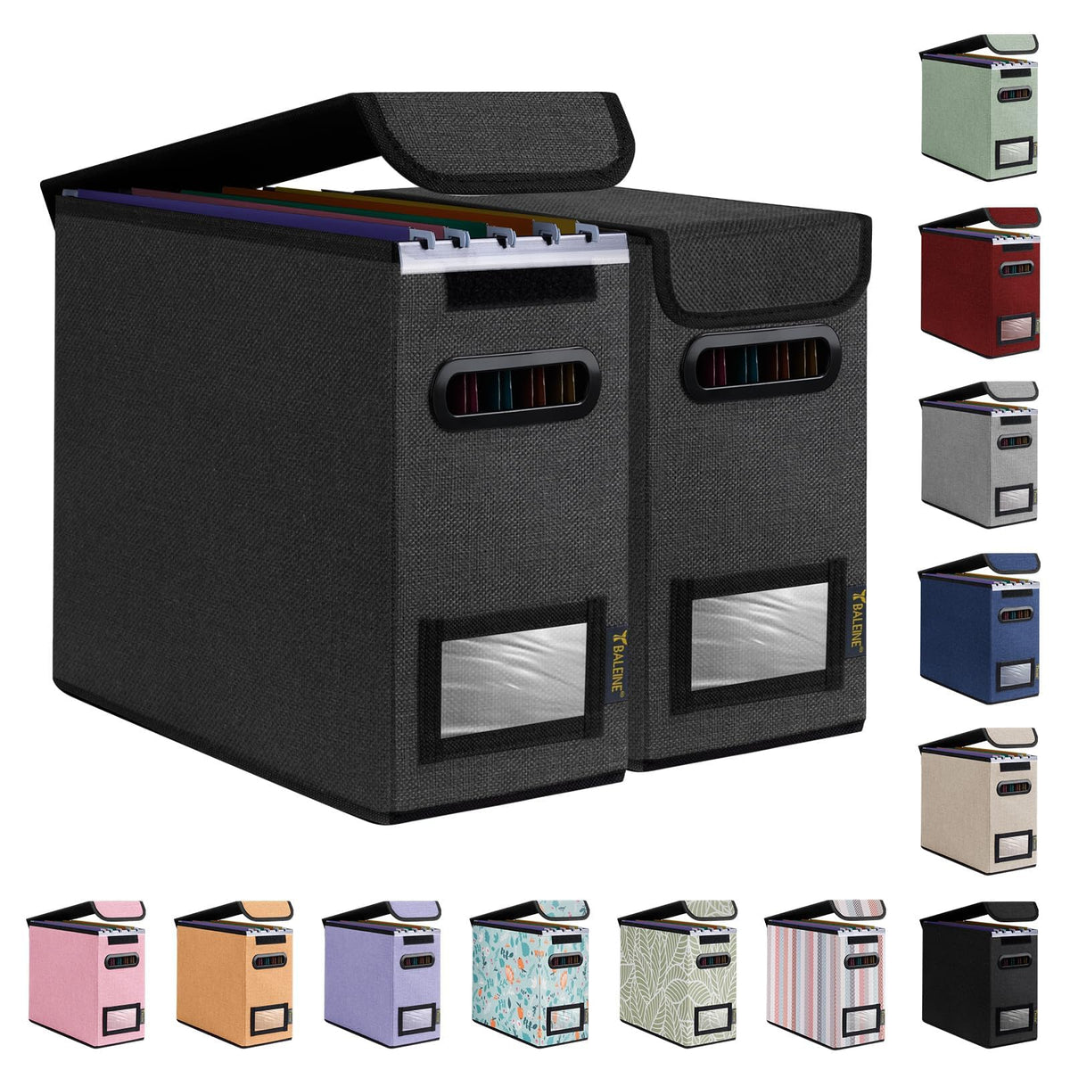 BALEINE File Organizer Box with Lid, Collapsible Hanging File Storage Box