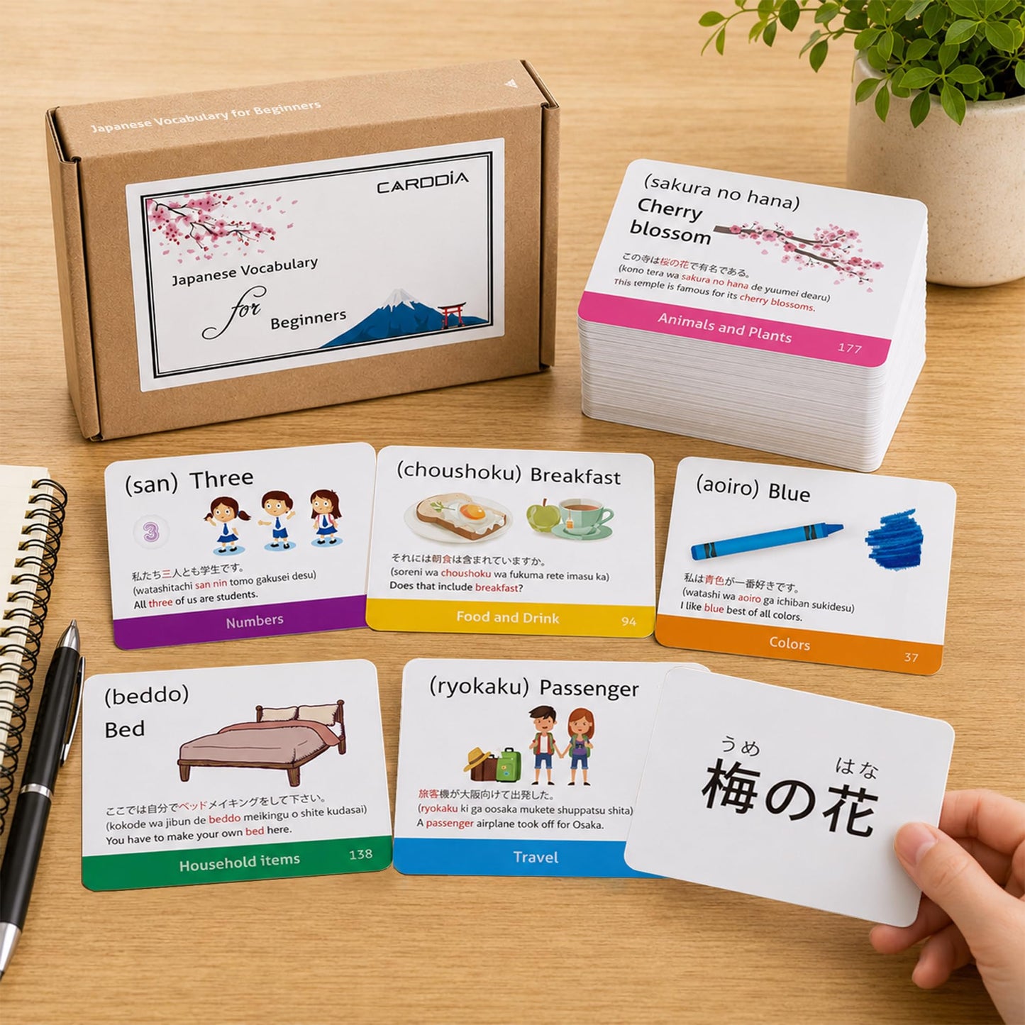 Japanese Vocabulary Flash Cards for Beginners (with Illustrations and Example Sentences), Standard