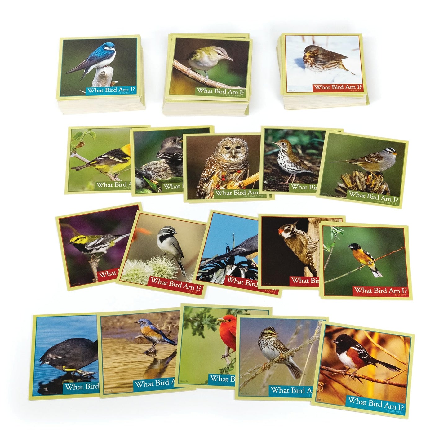 Outset Media What Bird Am I? – The Bird Identification Game – Contains 300 Cards for 2 or More