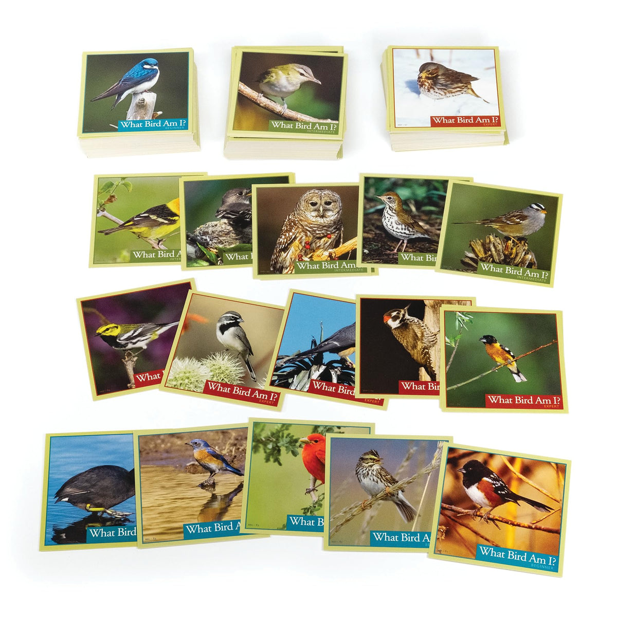 Outset Media What Bird Am I? – The Bird Identification Game – Contains 300 Cards for 2 or More