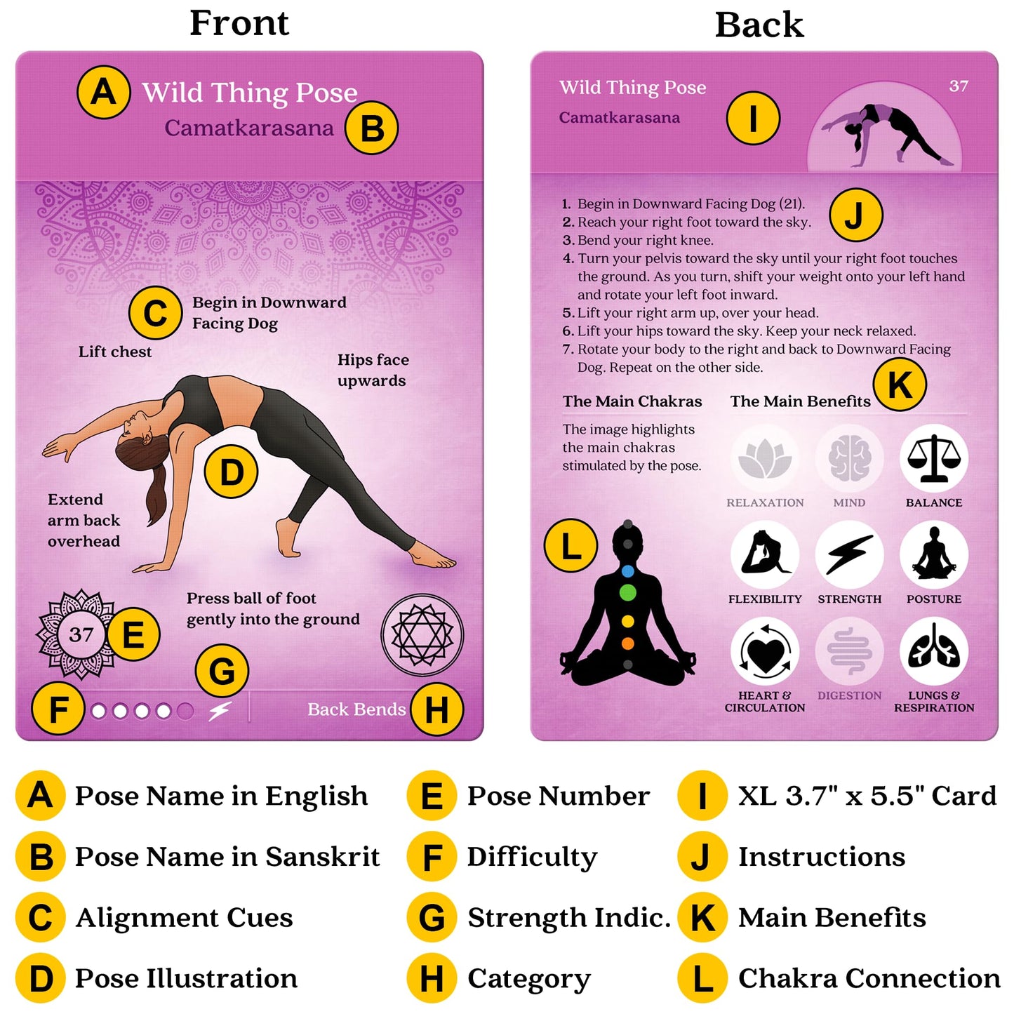 Asana Moon Premium Yoga Cards – Deck with Over 120 Yoga Poses – Yoga Sequencing Deck with Yoga Cues
