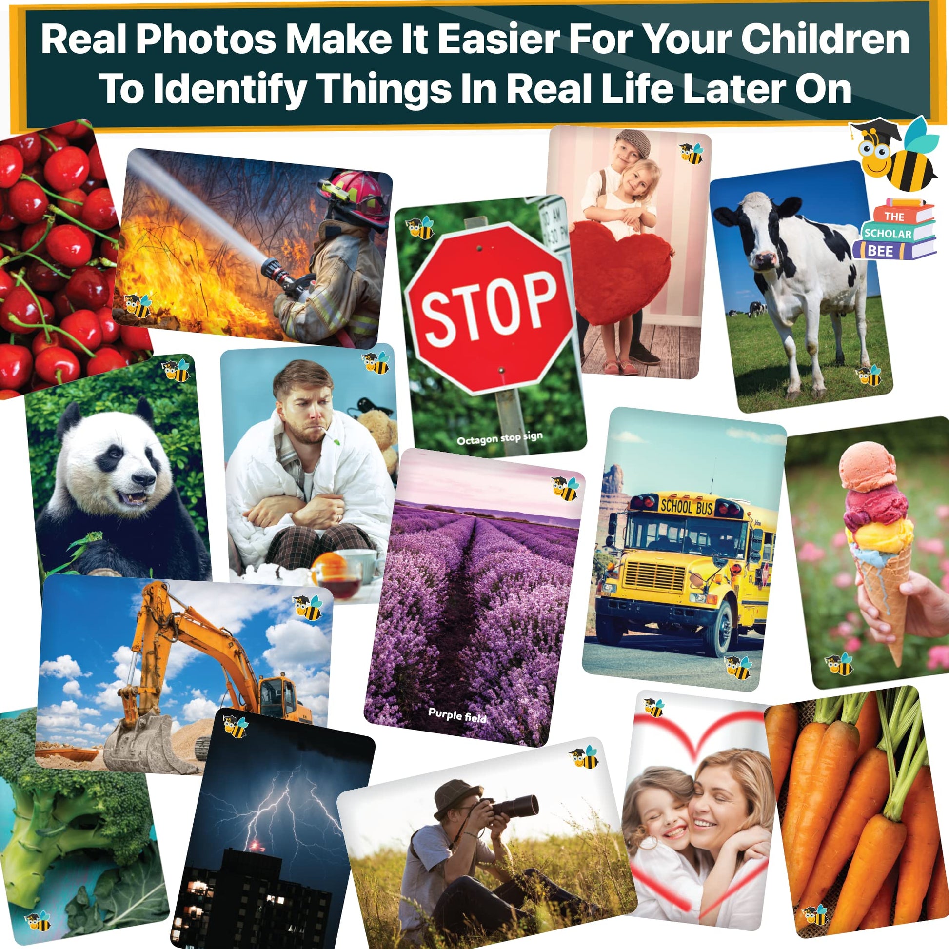 Flash Cards for Toddlers 2-4 Years – Jumbo Learning Box Set with Real Pictures - Alphabet Number