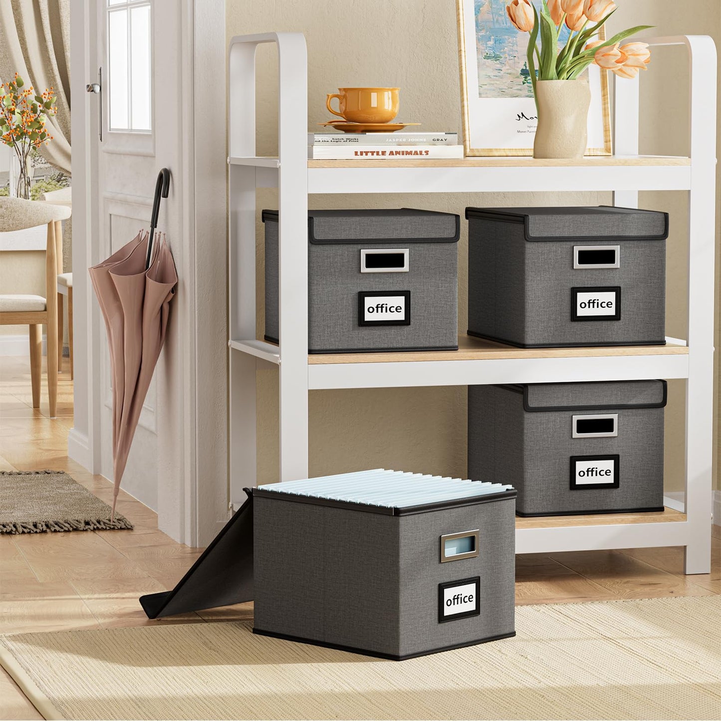 Huolewa File Organizer Box with Lids, Collapsible File Folder Organizer
