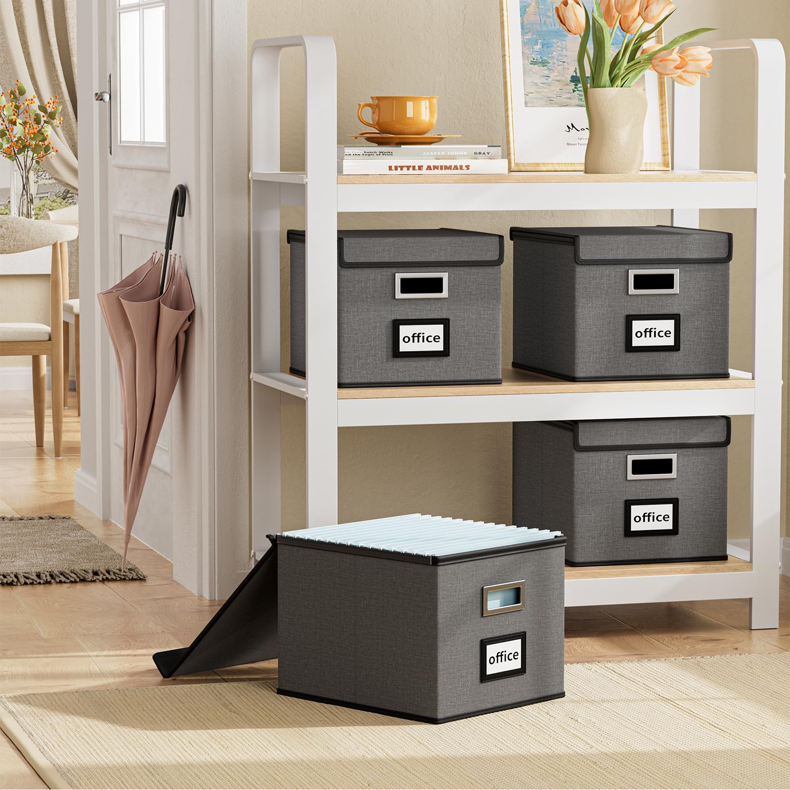 Huolewa File Organizer Box with Lids, Collapsible File Folder Organizer