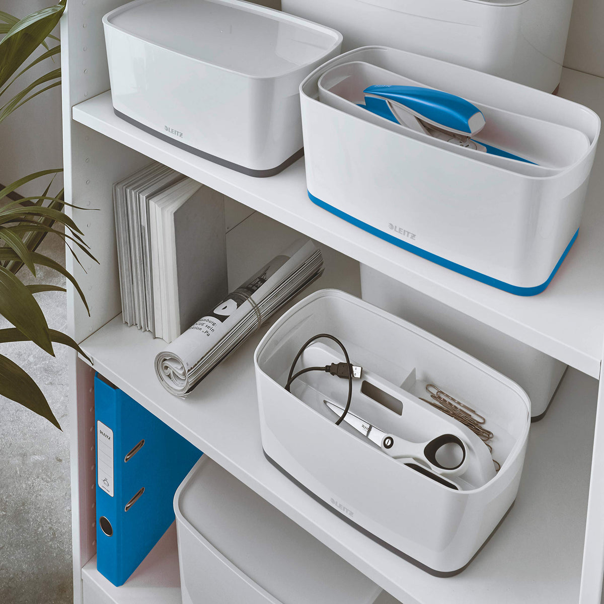 Leitz A5 MyBox Small with Lid, Storage Box for Home and Office, 5 L, High Gloss, Plastic