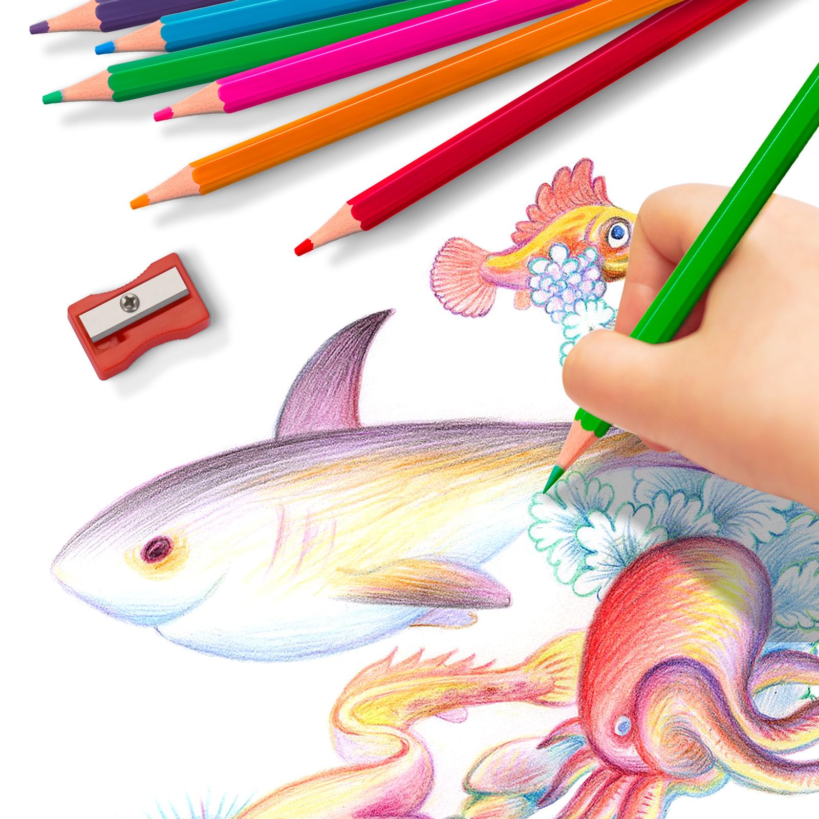 Colored Pencils Bulk, 240 Count Color Pencils for Kids Classroom, 12 Colors