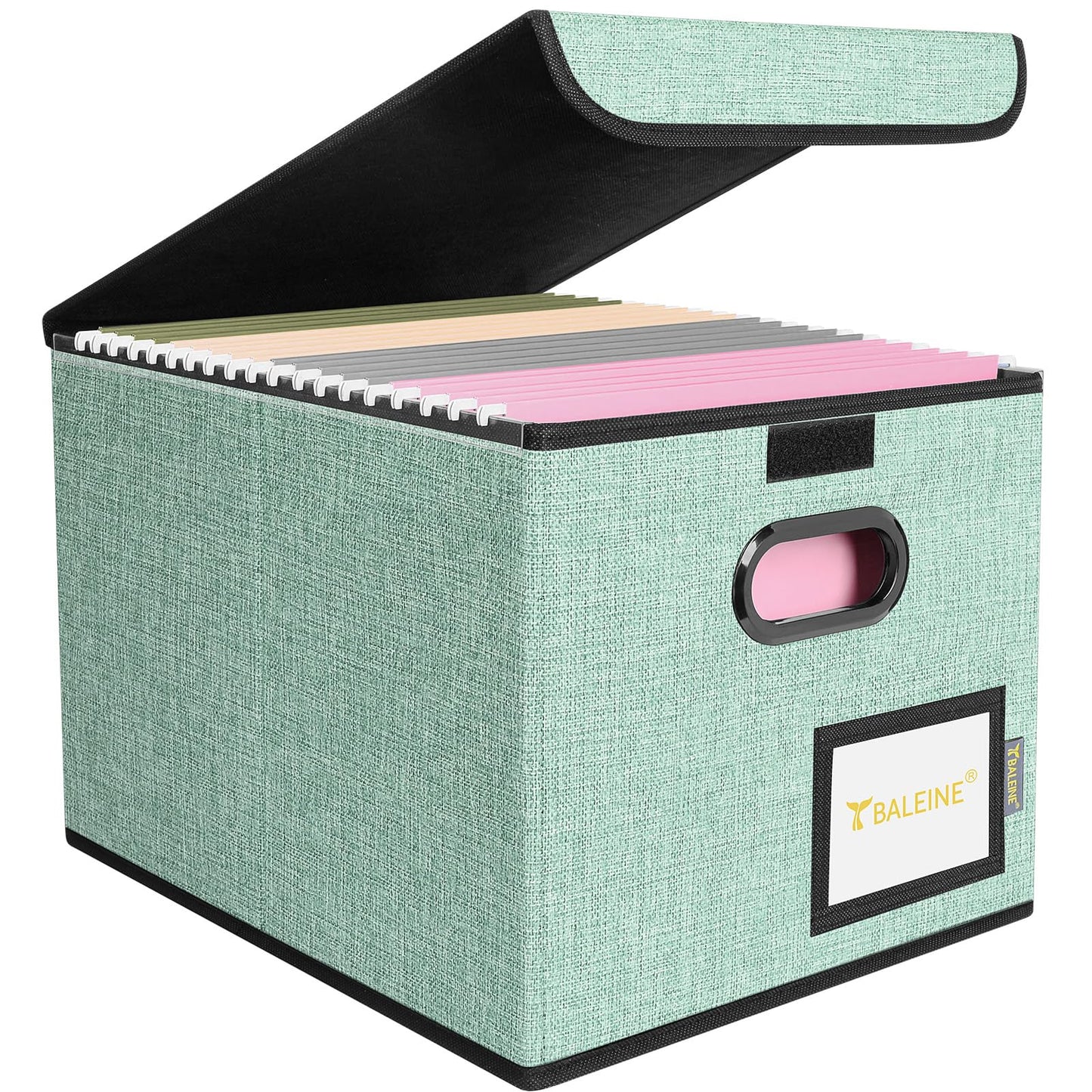 BALEINE File Organizer Box with Lid, Collapsible Hanging File Storage Box