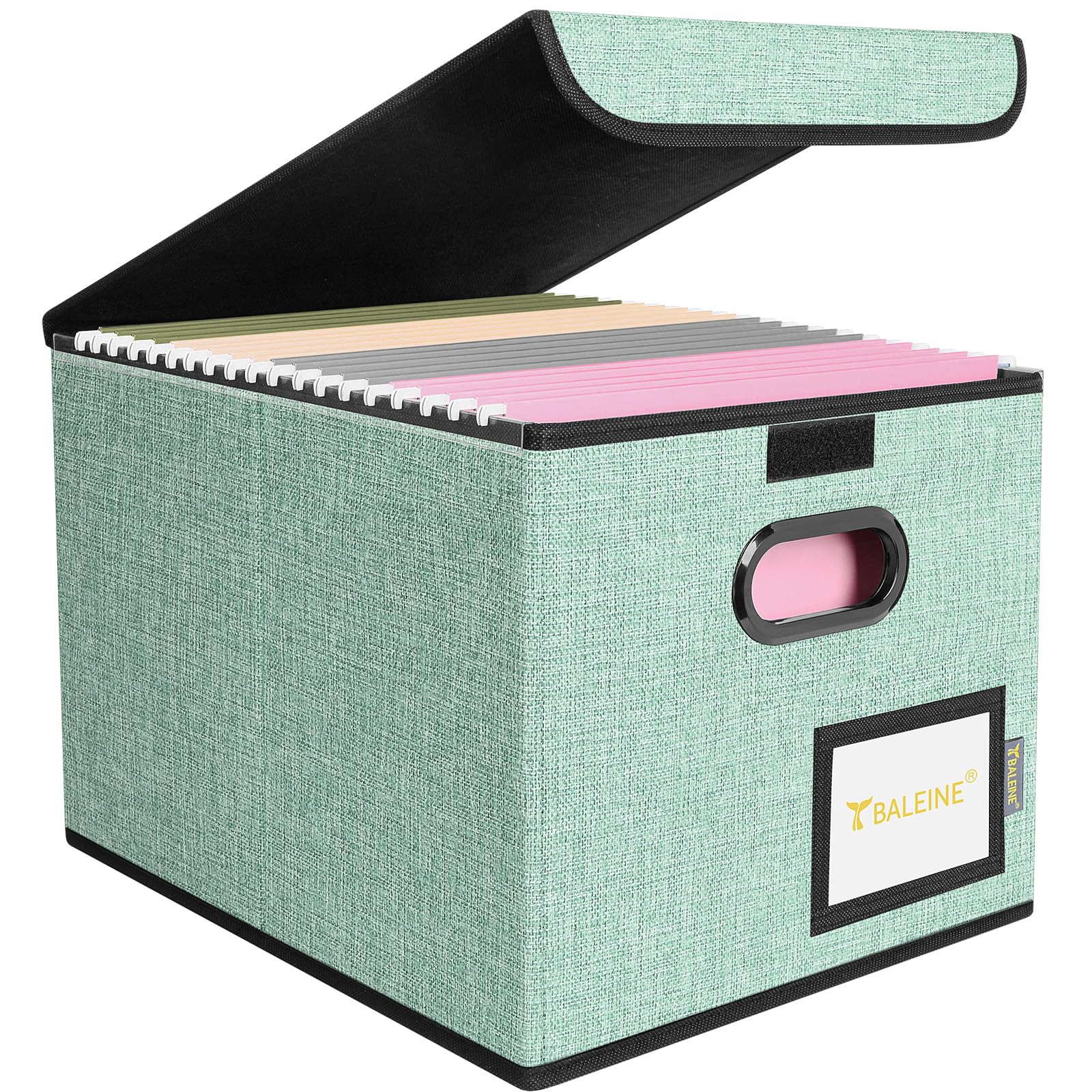 BALEINE File Organizer Box with Lid, Collapsible Hanging File Storage Box
