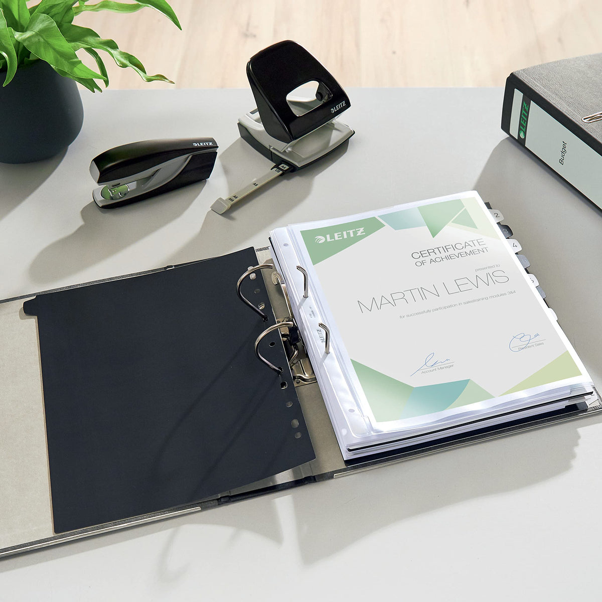 Leitz 2-Ring 3-Inch Premium A4 Sized European Black Marbled Binder, Green (R80-GR)