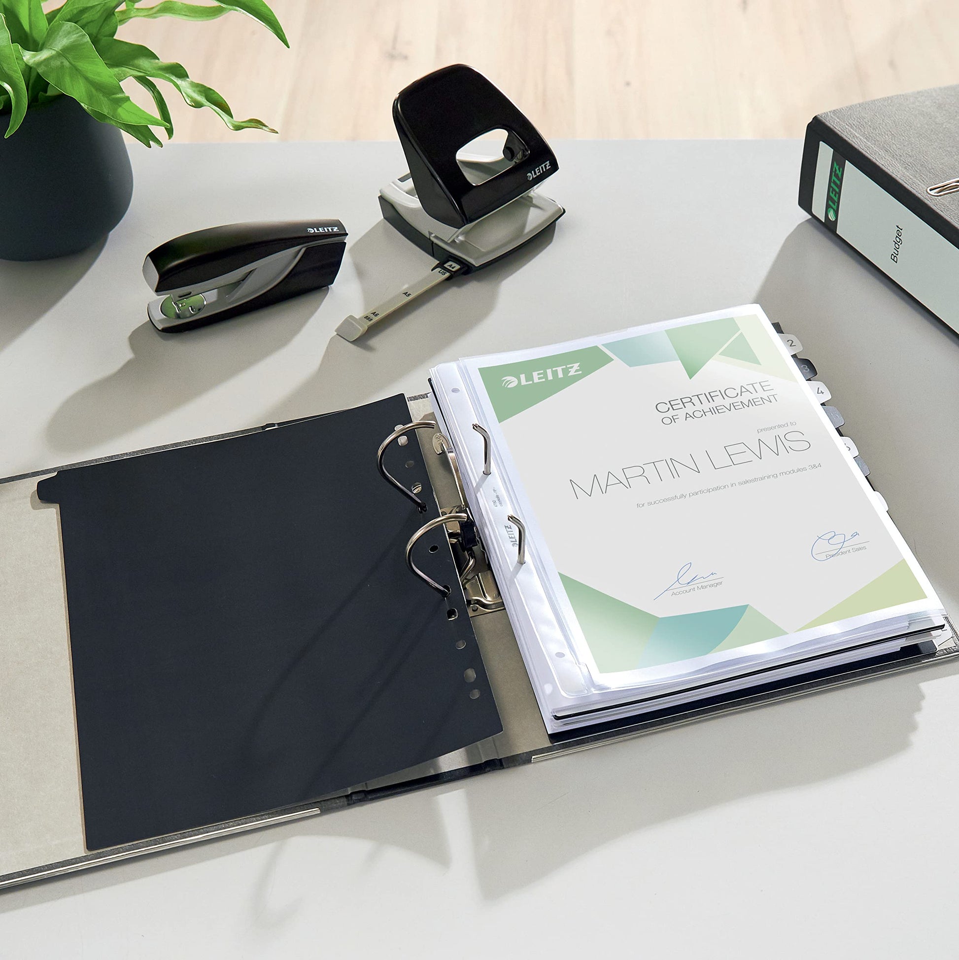 Leitz 2-Ring 3-Inch Premium A4 Sized European Black Marbled Binder, Black (R80)