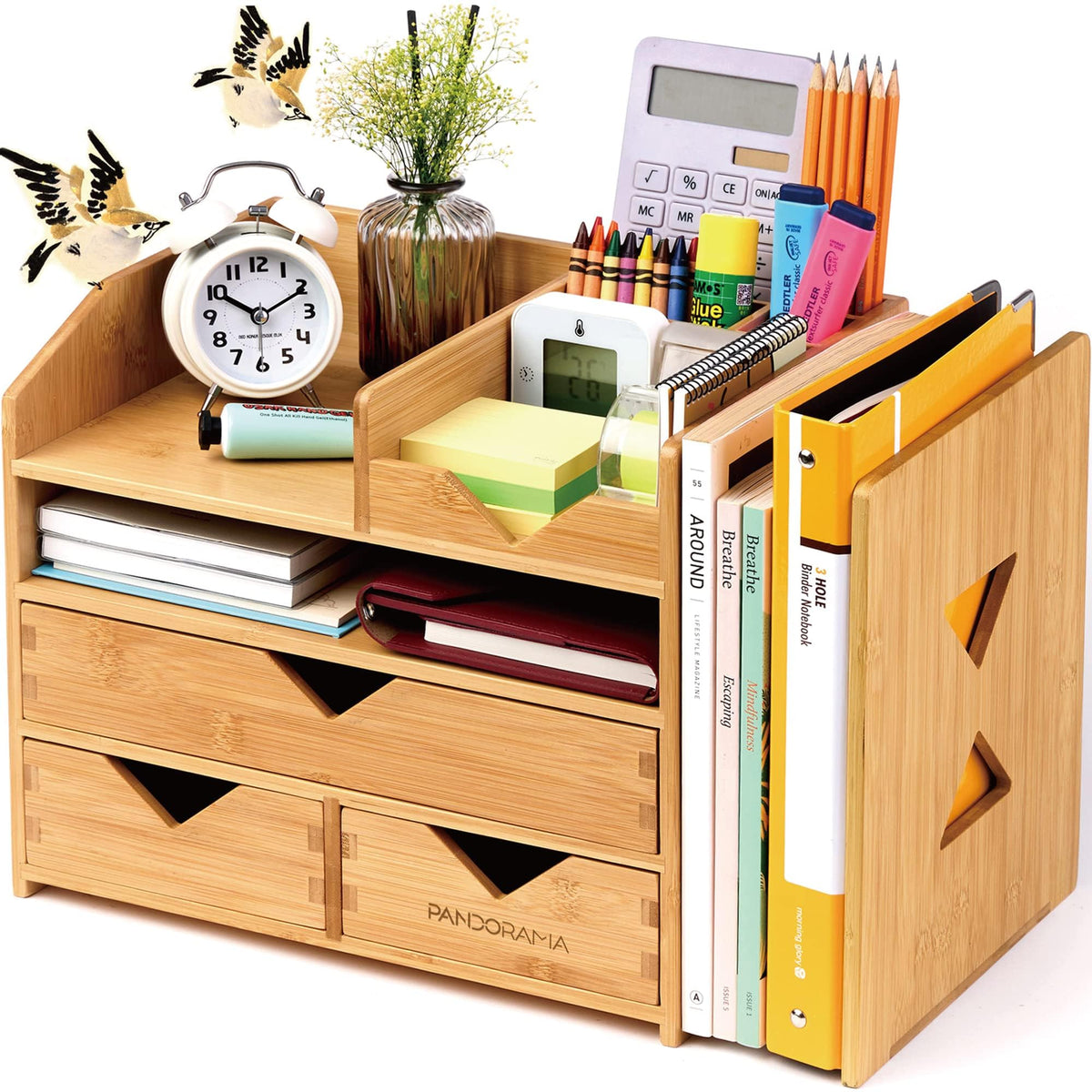 Pandorama Bamboo Desk Organizer Large - A4 Drawers & Adjustable File Holder, Fully Assembled Wood