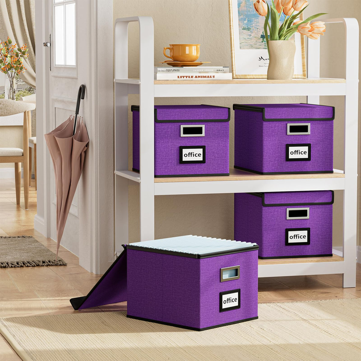 Huolewa File Organizer Box with Lids, Collapsible File Folder Organizer