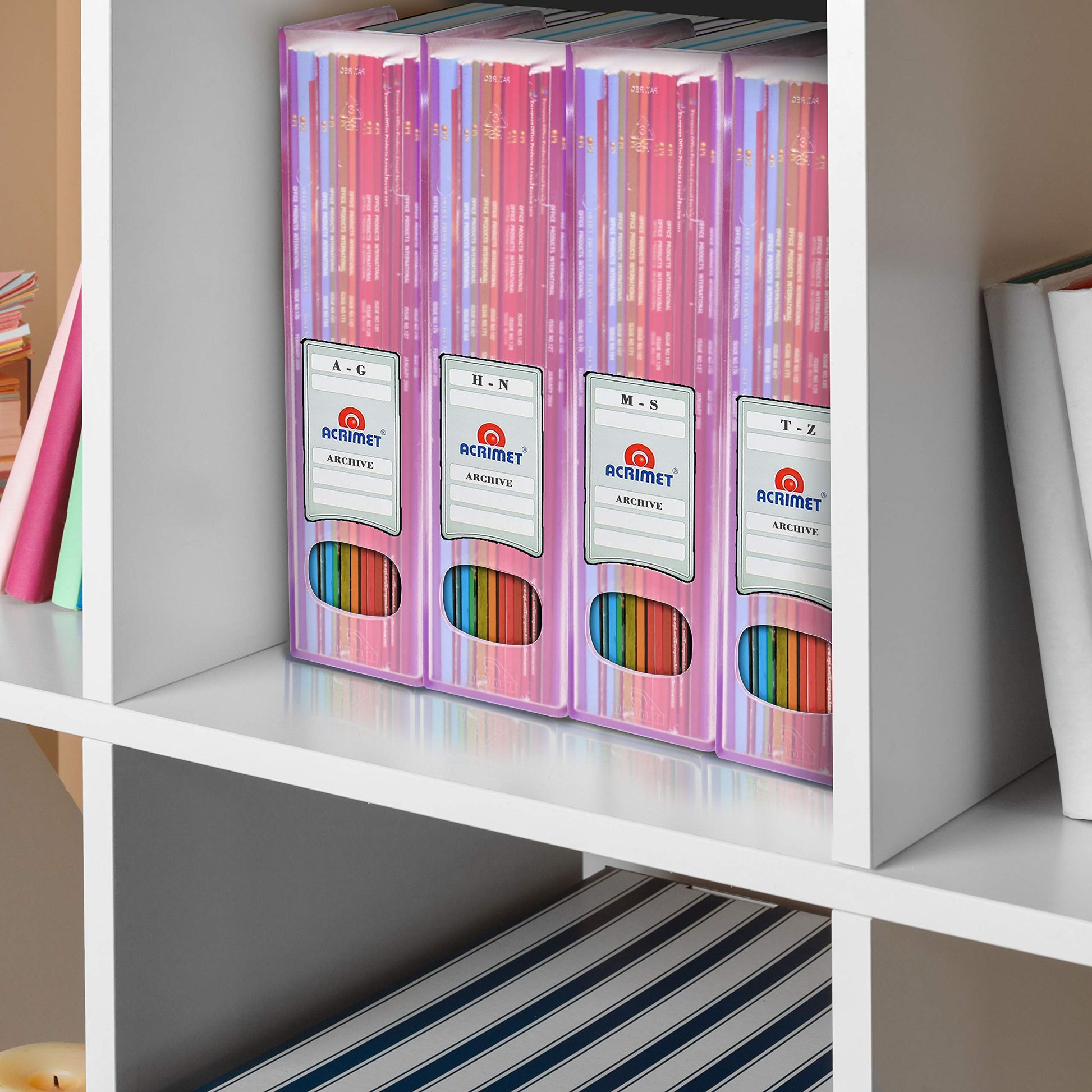 Acrimet Magazine File Holder, Vertical Desk Organizer, Clear Pink, 2 Pack