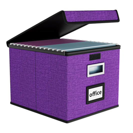 Huolewa File Organizer Box with Lids, Collapsible File Folder Organizer