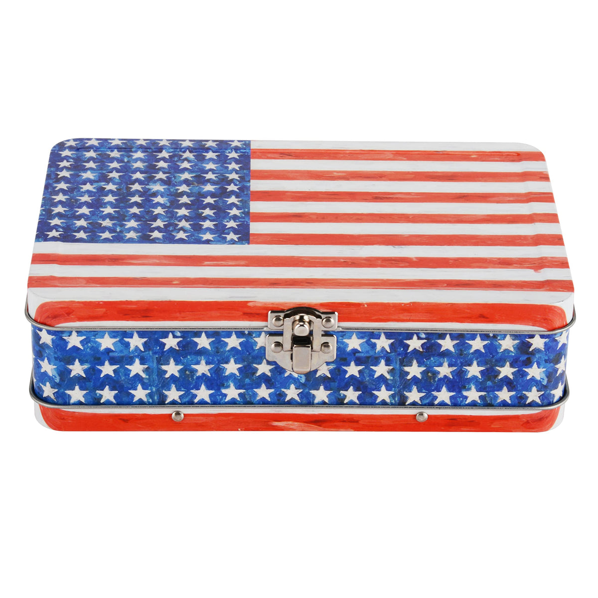 DAHO Metal Storage Box with Hinge for Office, School, Home, Makeup, Arts & Crafts and Accessories