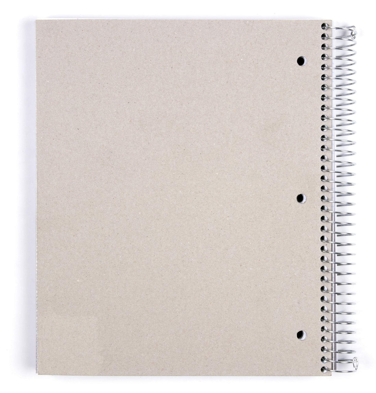 Mintra Office Durable Spiral Notebooks, 5 Subject (Sage Green, Wide Ruled 1pk)