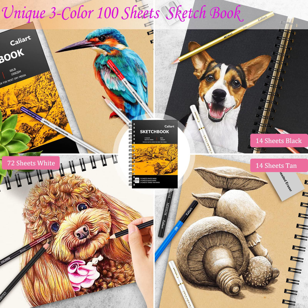 Caliart 176PCS Art Supplies Sketching Kit, 100 Sheets 3-Color Sketch Book