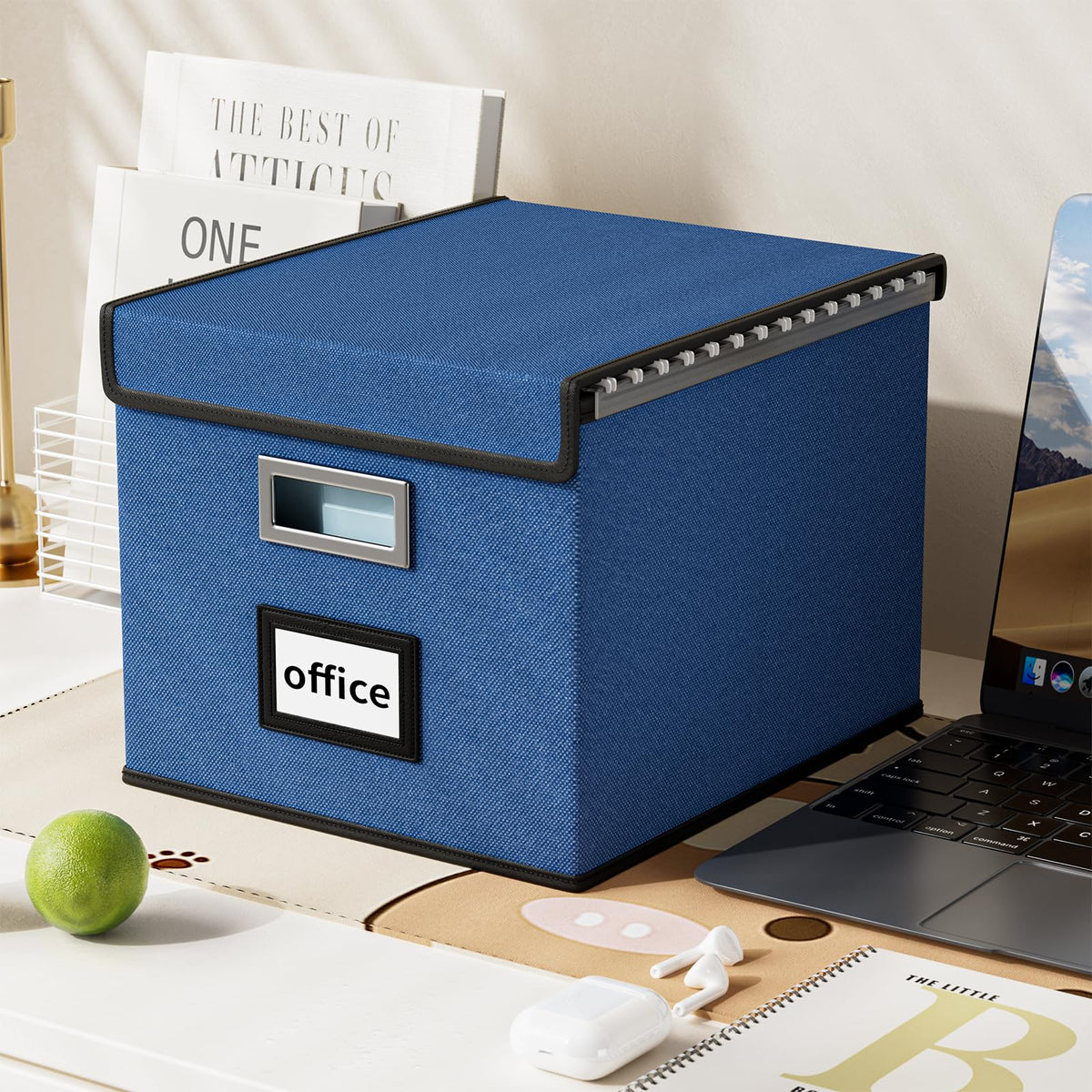 Huolewa File Organizer Box with Lids, Collapsible File Folder Organizer