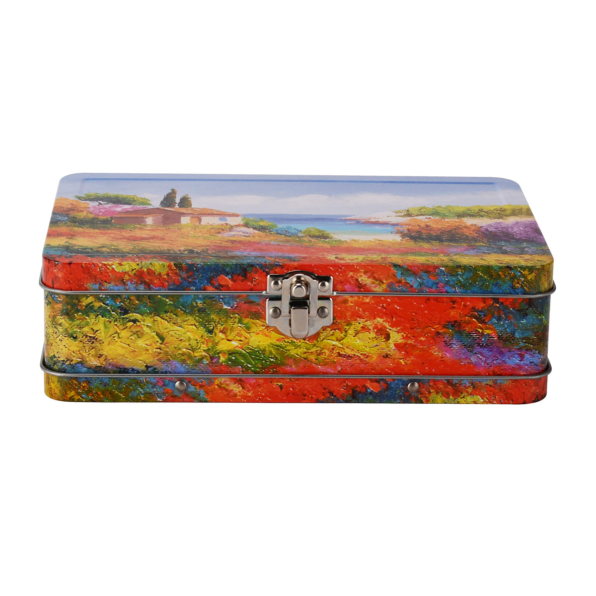 DAHO Metal Storage Box with Hinge for Office, School, Home, Makeup, Arts & Crafts and Accessories