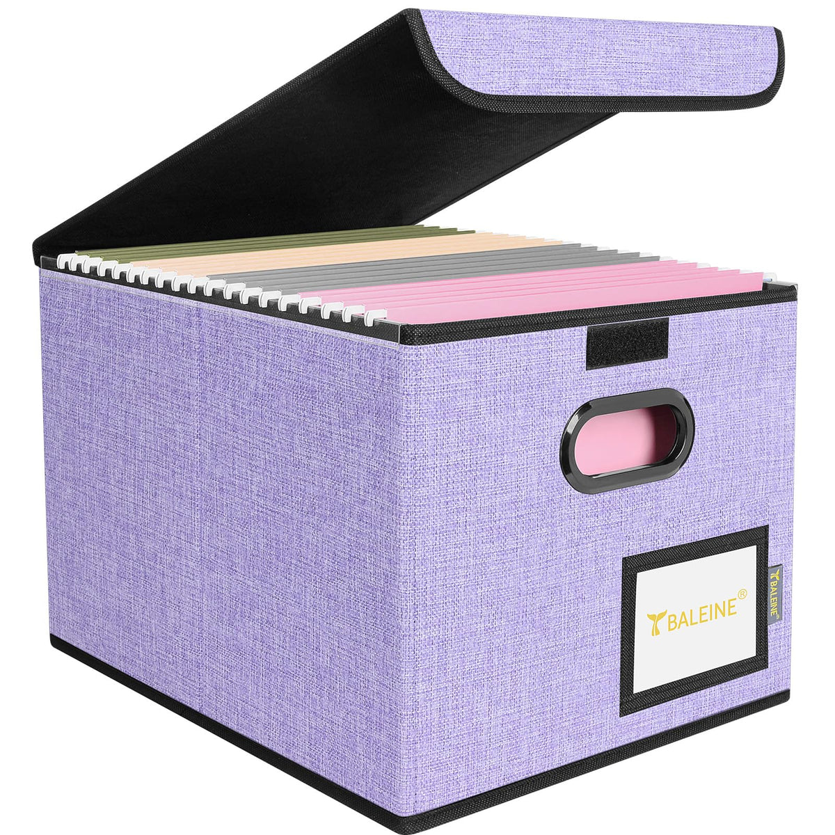 BALEINE File Organizer Box with Lid, Collapsible Hanging File Storage Box