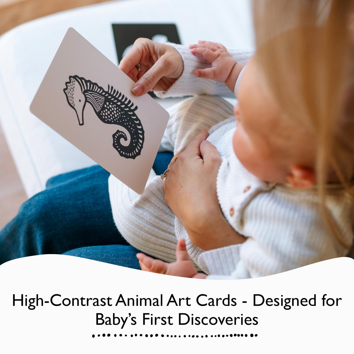 Wee Gallery High Contrast Cards for Baby - Original Animals