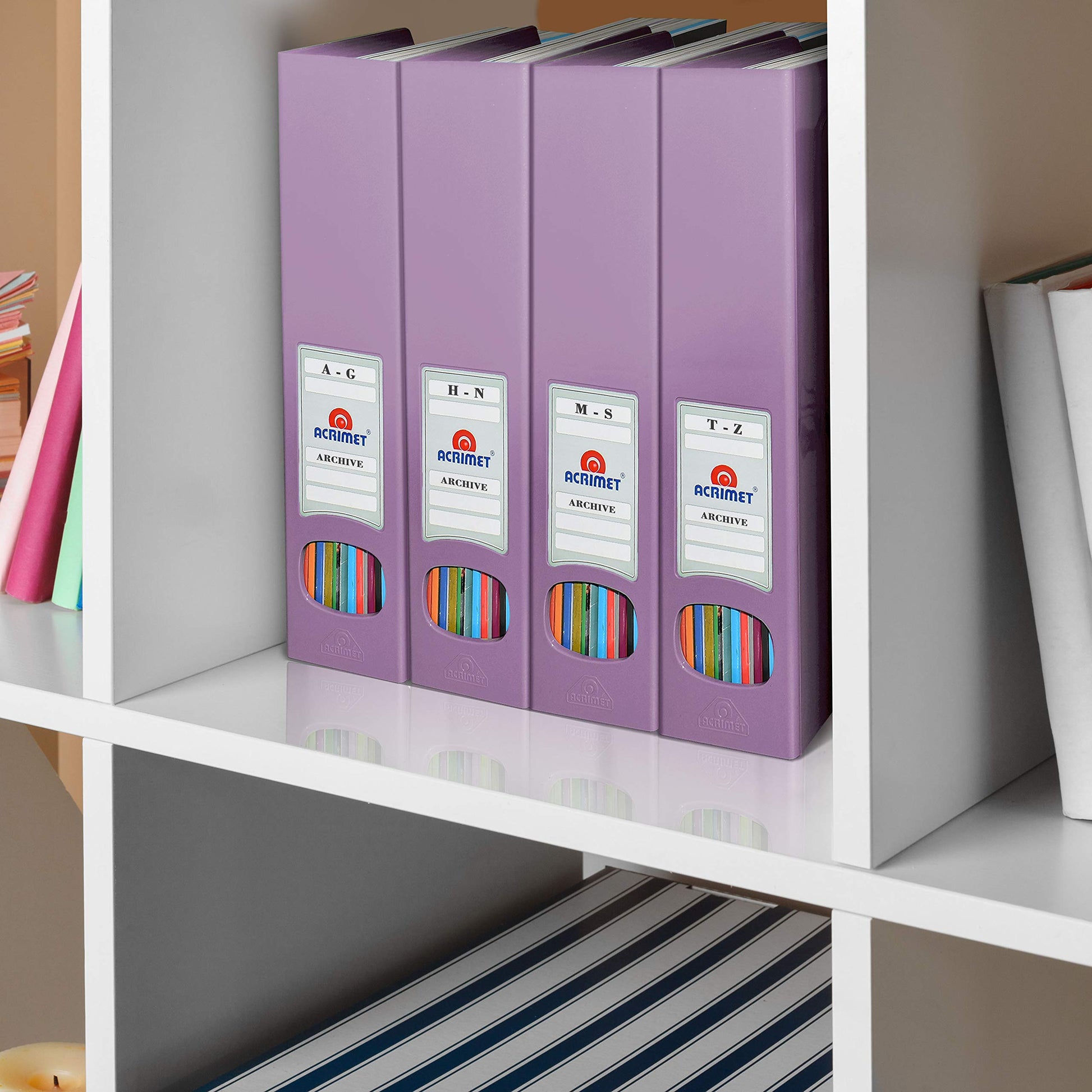 Acrimet Magazine File Holder, Vertical Desk Organizer, Purple, 2 Pack