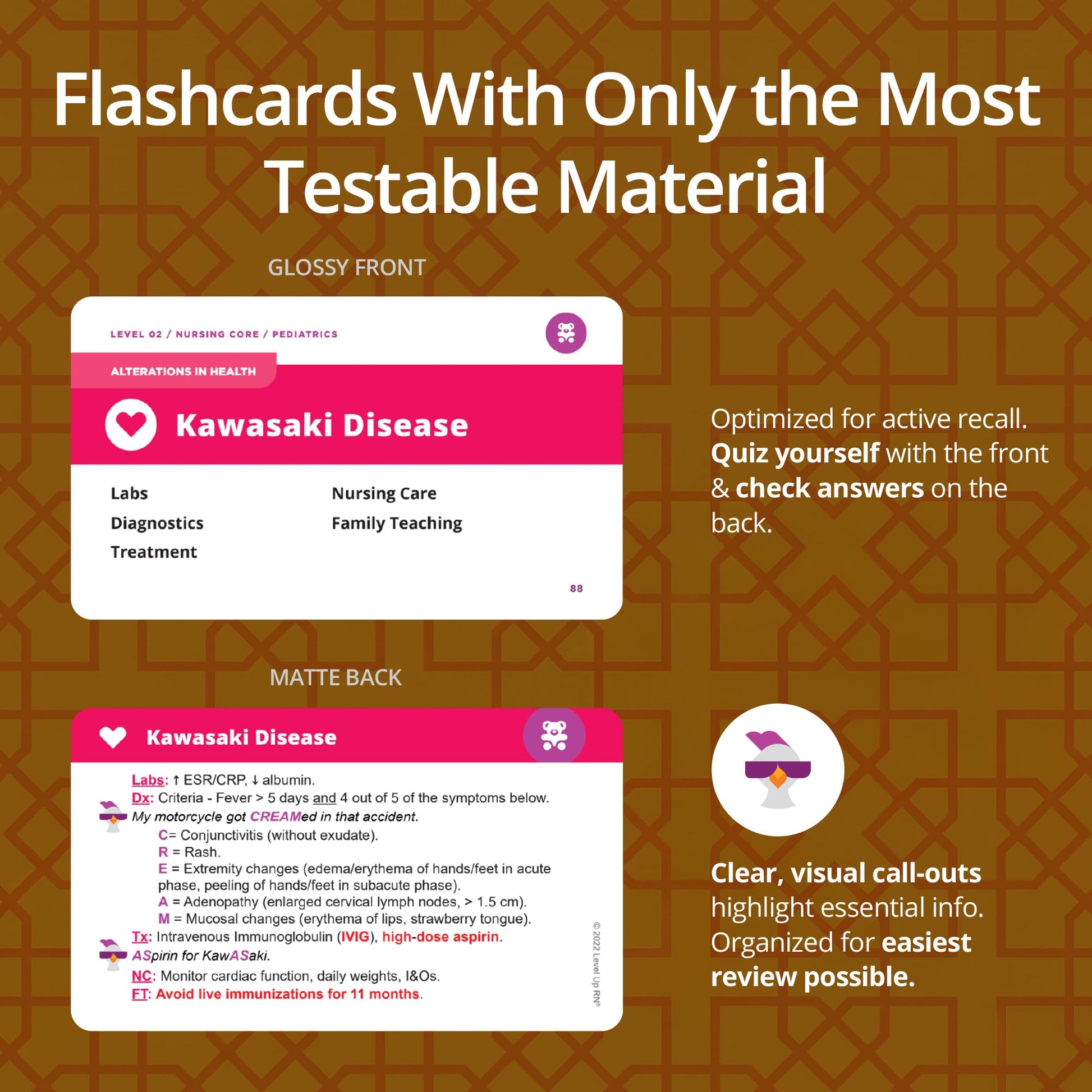 Pediatrics Flash Cards – No Fluff – Only Essential Info for Nursing School – 2026-2027 NCLEX ATI