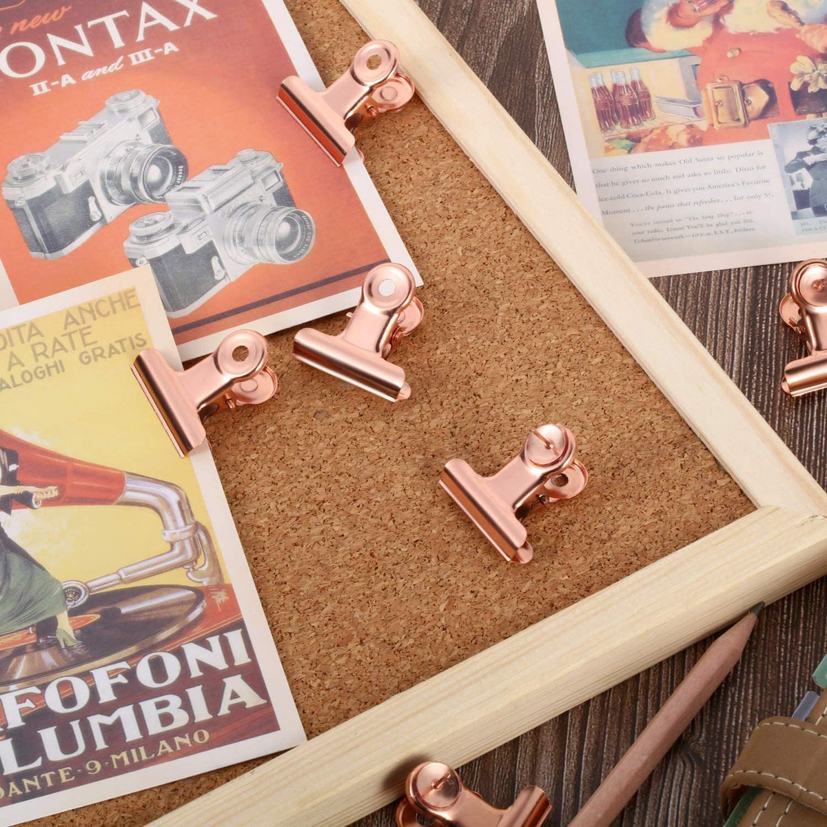 YUCHIYA 20 Pack Bulldog Clips with Push-pins for Corkboard,Metal Clips for Crafts, Metal Binder