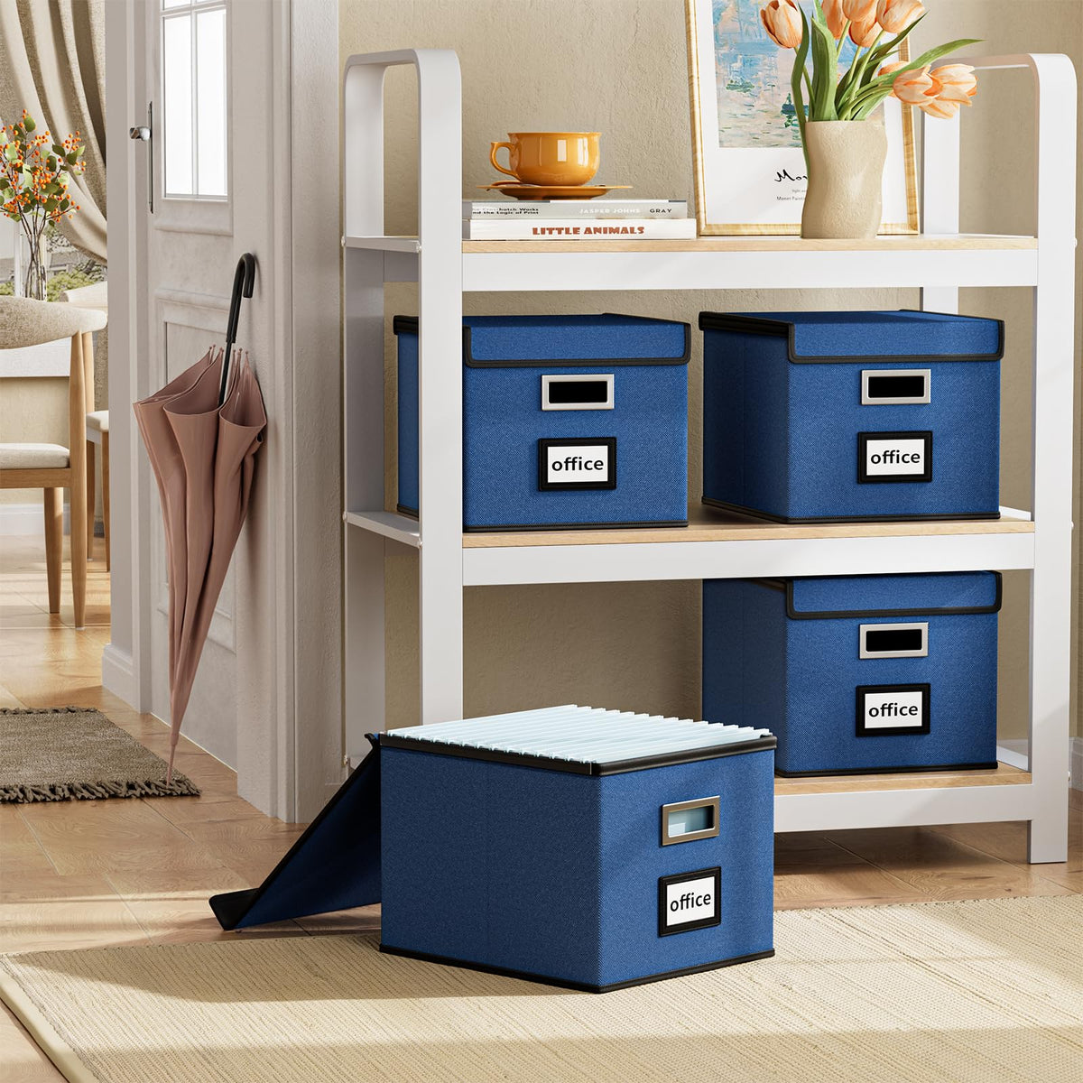 Huolewa File Organizer Box with Lids, Collapsible File Folder Organizer