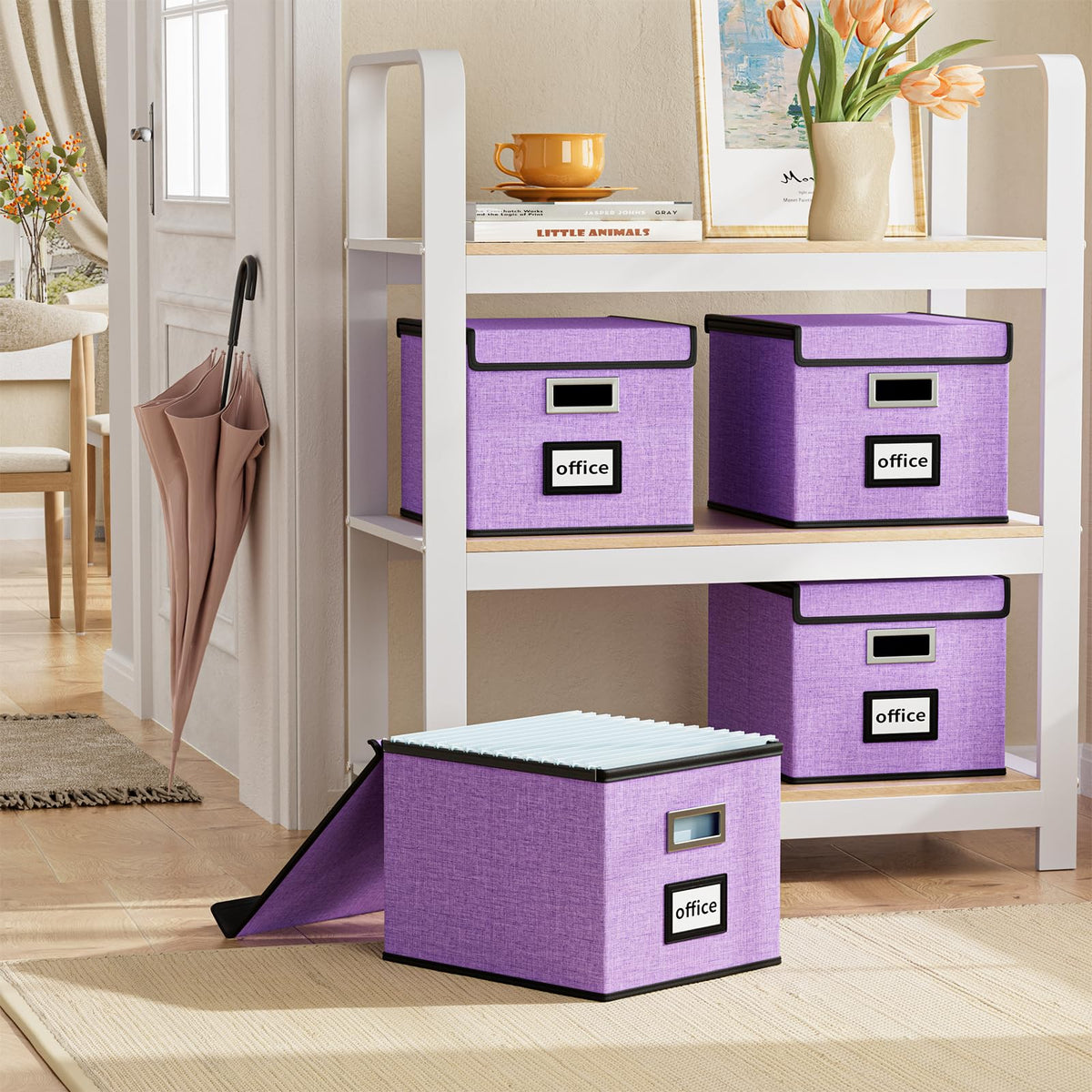Huolewa File Organizer Box with Lids, Collapsible File Folder Organizer