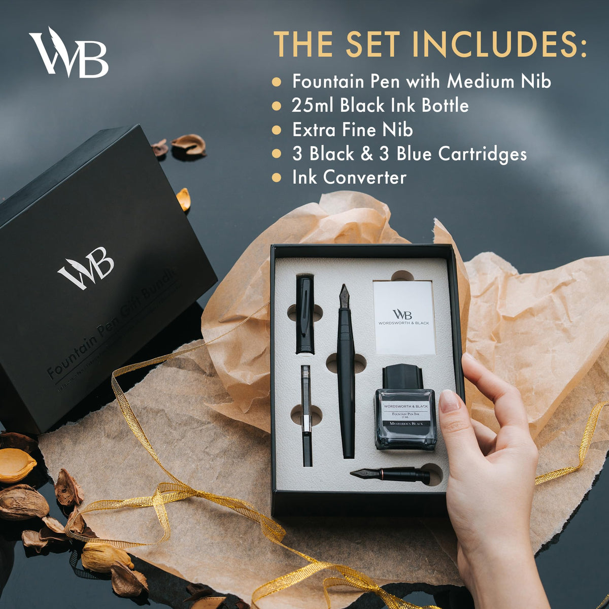 Wordsworth & Black Fountain Pen Gift Set, Medium & Extra Fine Nib,All Black