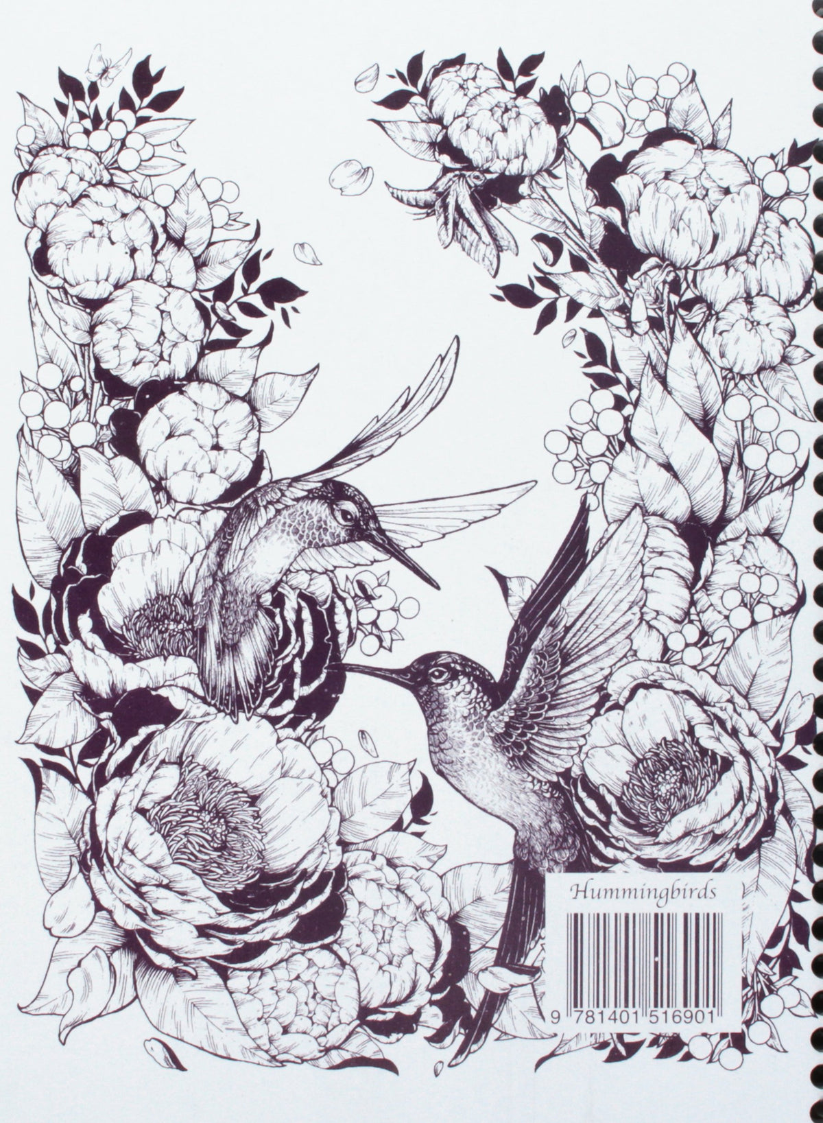 Decomposition Hummingbirds College Ruled Spiral Notebook - 9.75 x 7.5 Journal with 160 Lined Pages