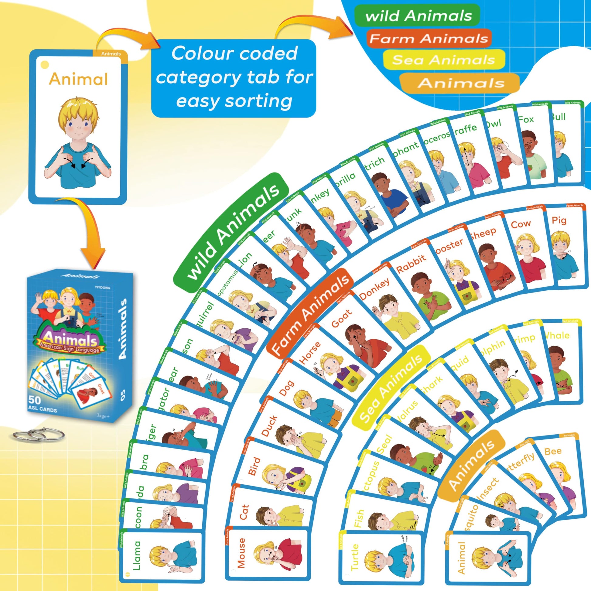 YIYDONG ASL Flash Cards - 500 American Sign Language FlashCards for Beginners and Toddlers, Kids