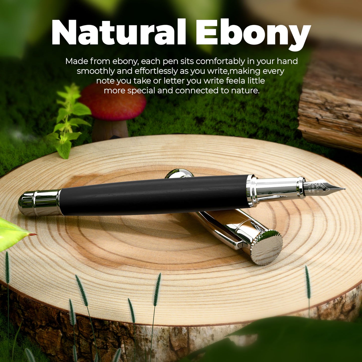 WEMATE Fountain Pen Set for Writing, Fine Nib, Black Ebony